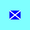 Signal Flags Bunting Alphabet "M" Mike